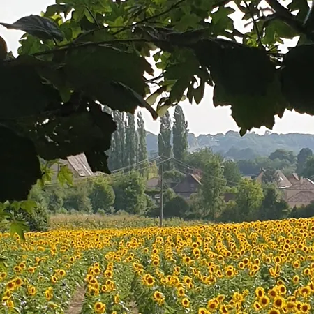 Landhaus Le Refuge Ceton