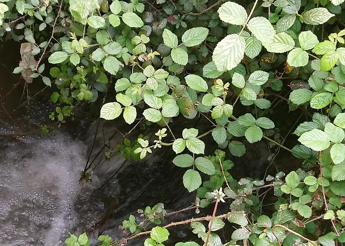 Le Refuge Landhaus *